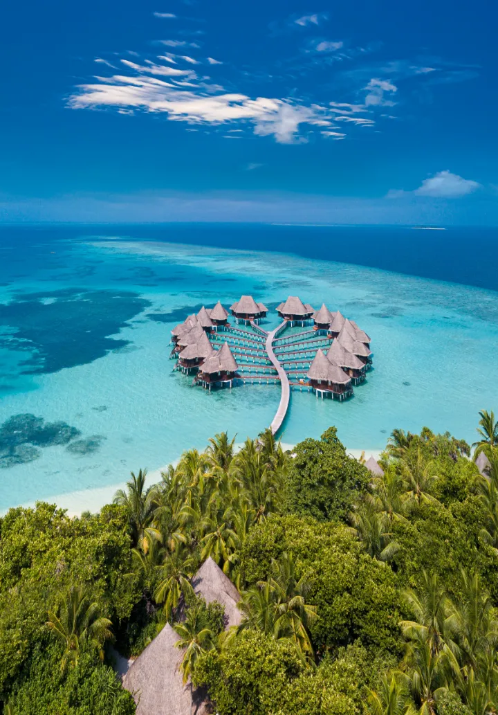 maldivas maldives proposal